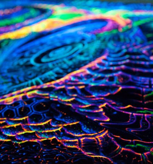 Microcosm Backdrop - Image 3