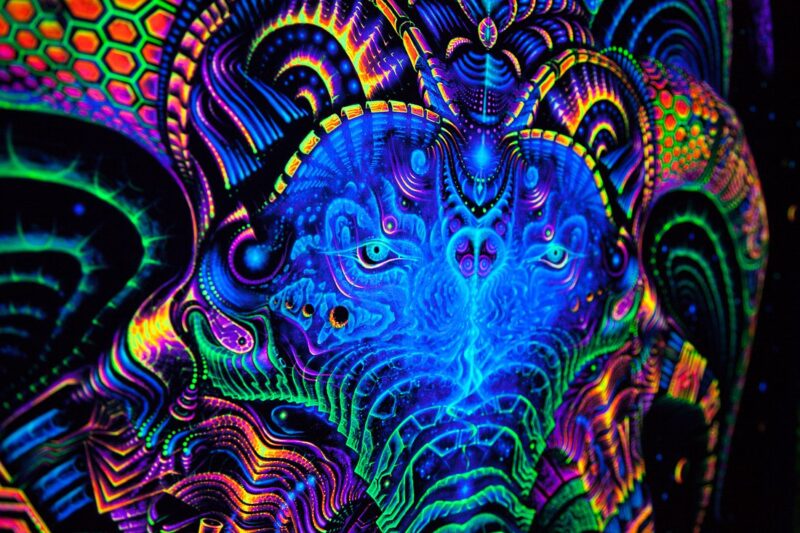 Matrix Archetype Backdrop - Image 3