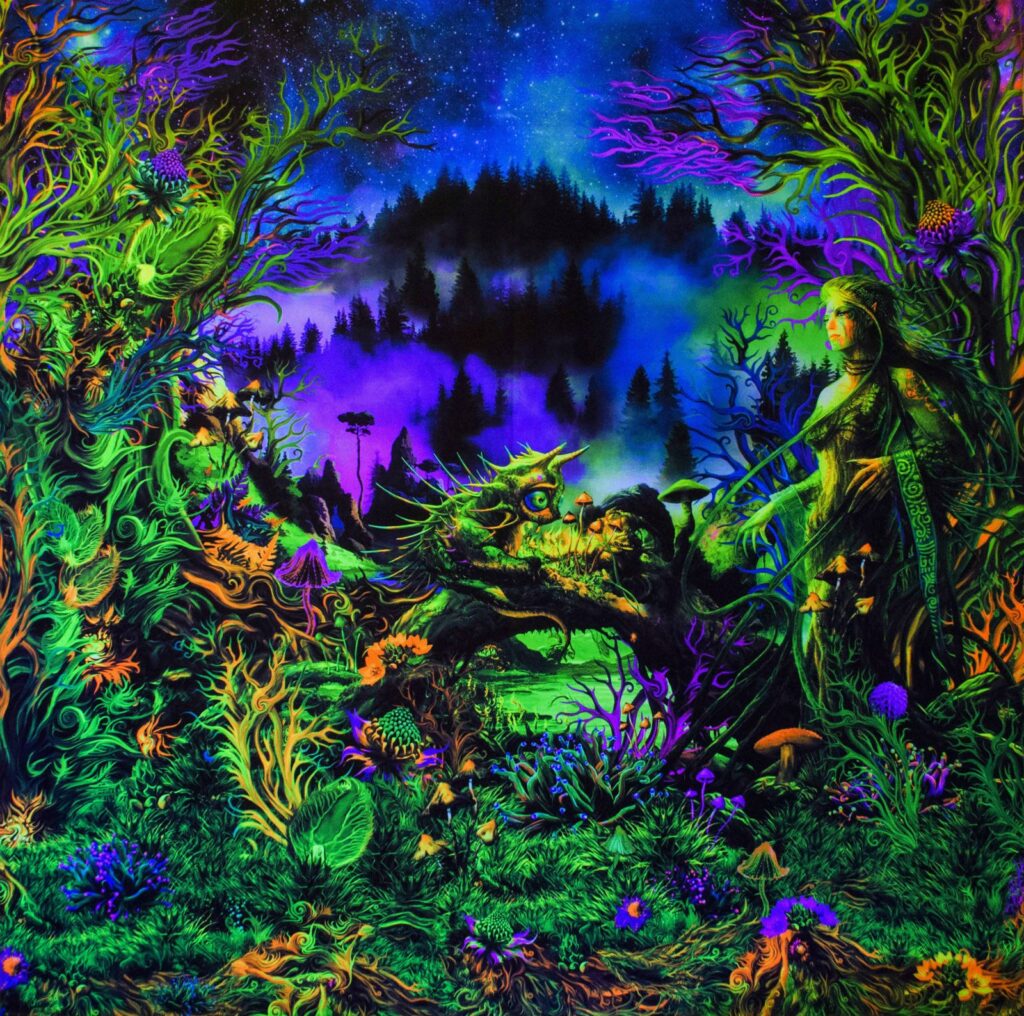 Elven Forest