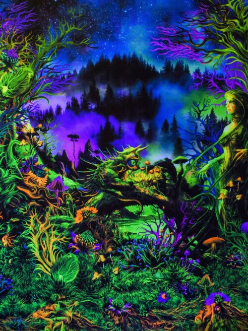 Elven Forest - Image 1