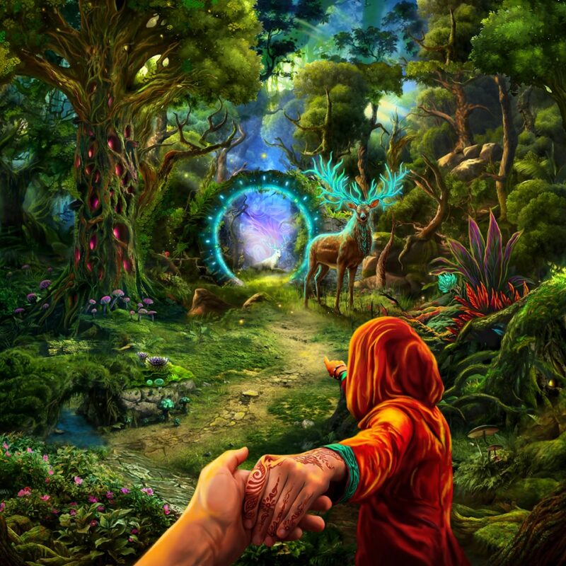 Forest Portal - Image 1