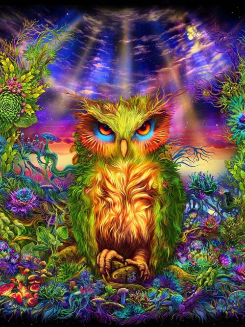 Mystic Owl - Image 1