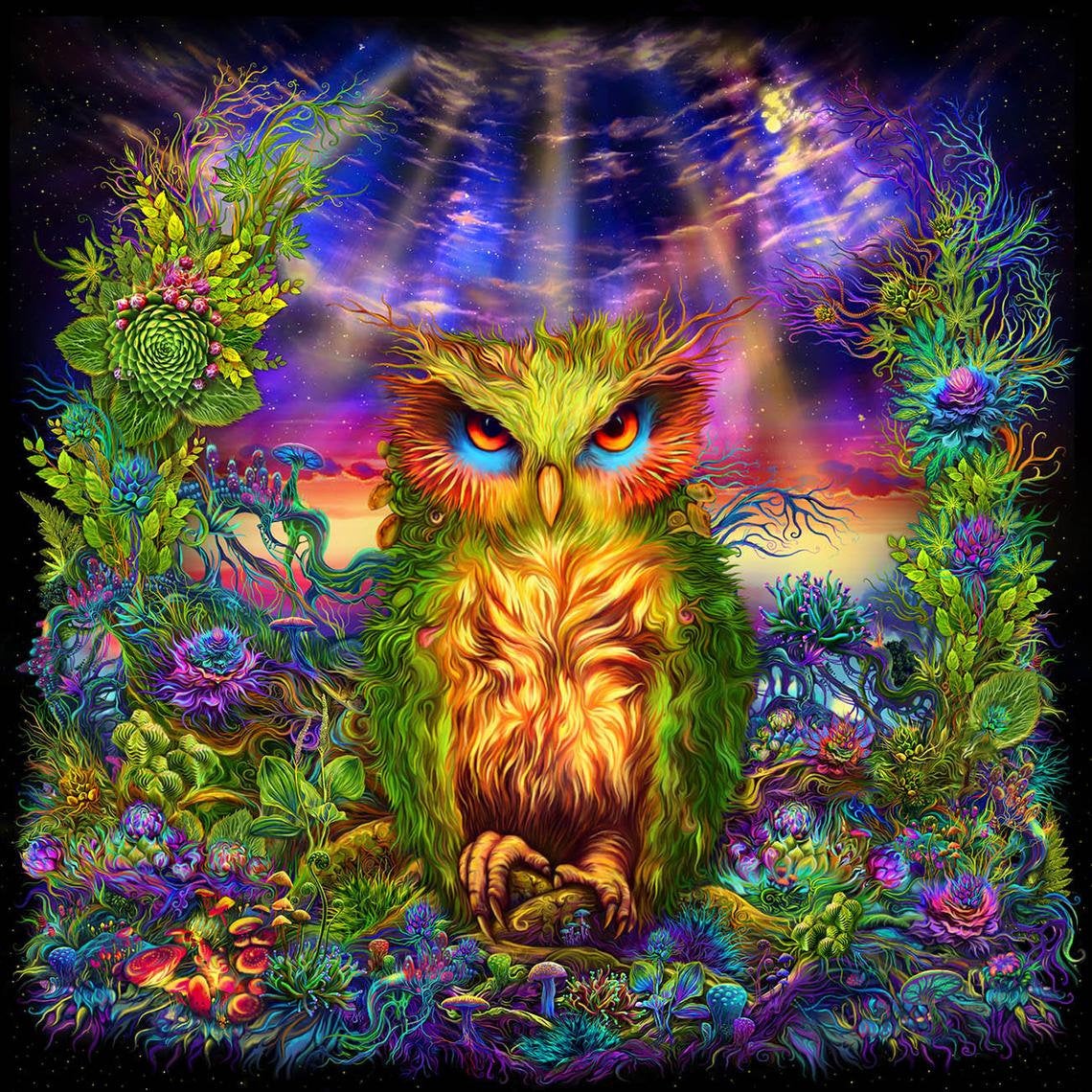 Mystic Owl - Image 1