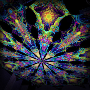 Reincarnation 2 – Adept&Leaf – Psychedelic UV-Reactive Canopy – 12 petals set (Copy)
