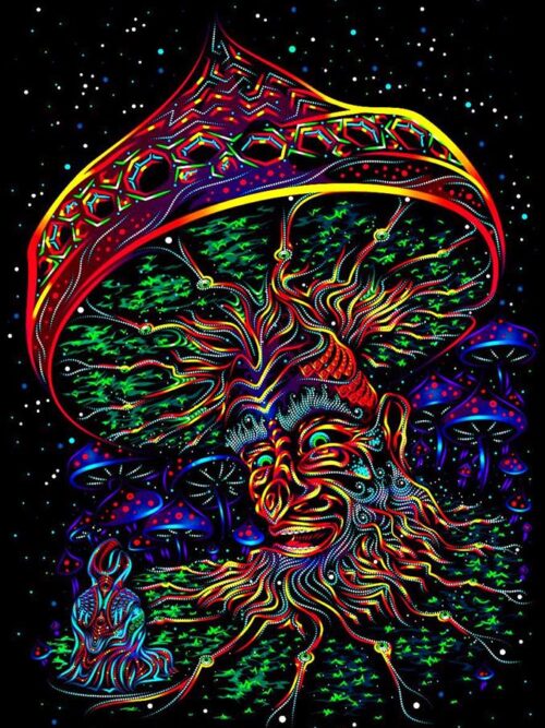 Wise Mushroom backdrop - Image 1