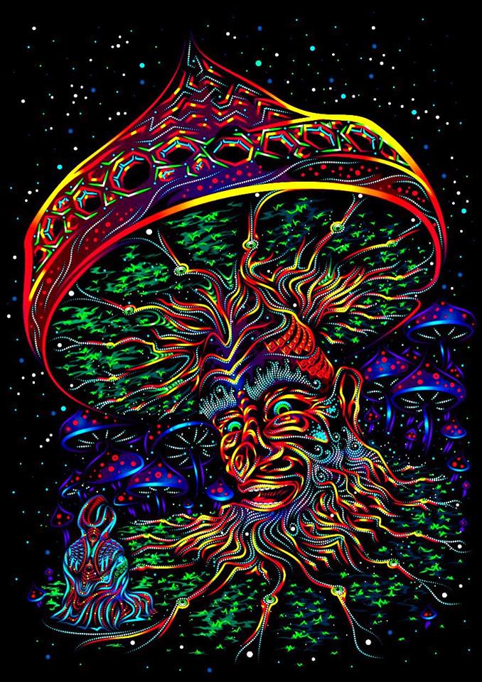 Wise Mushroom backdrop