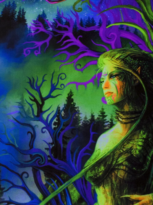 Elven Forest - Image 2