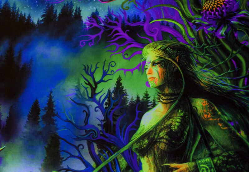 Elven Forest - Image 2