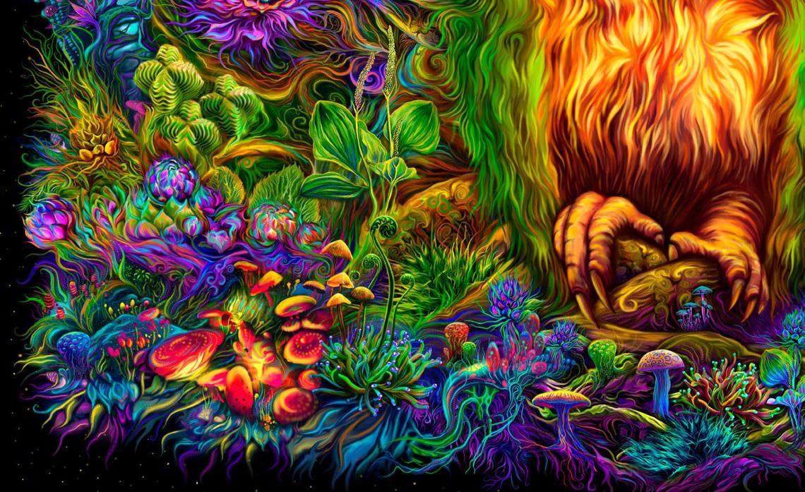 Mystic Owl - Image 2