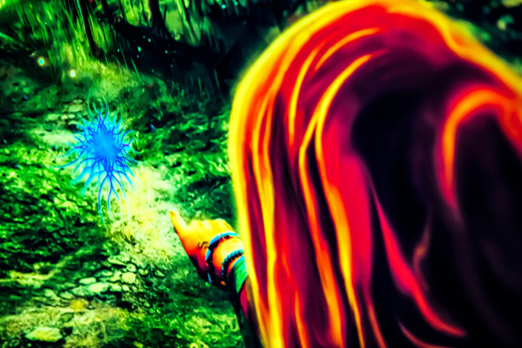 Forest Portal