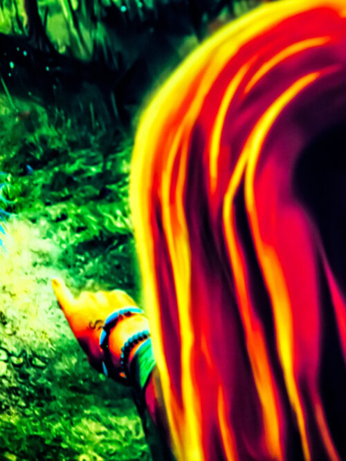 Forest Portal - Image 4
