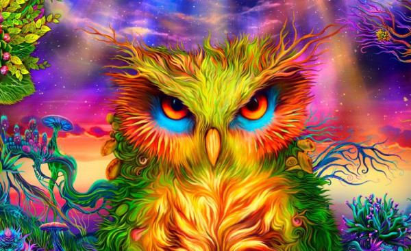 Mystic Owl