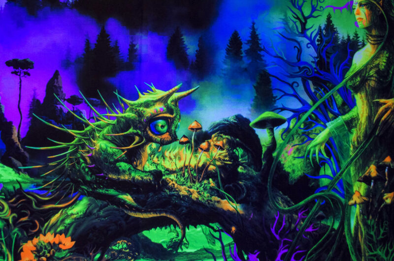 Elven Forest - Image 3