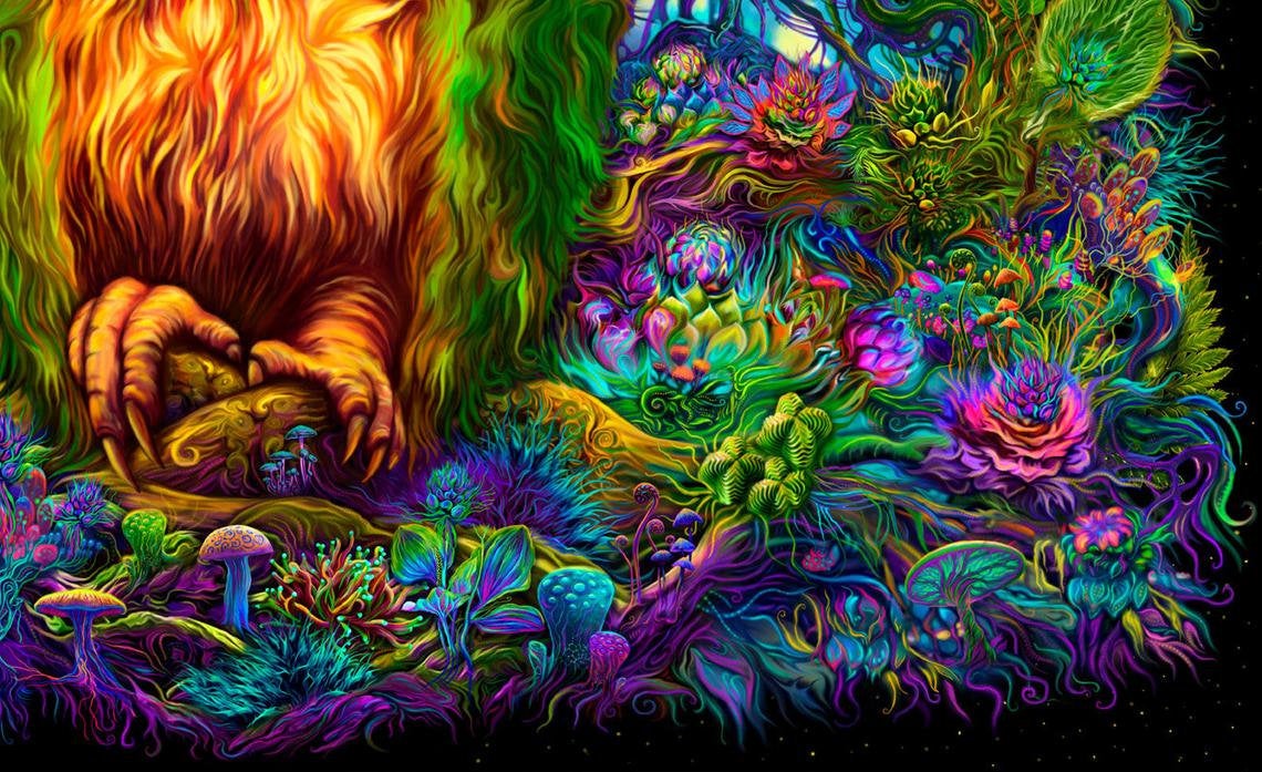 Mystic Owl - Image 4