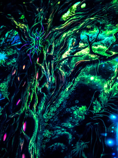 Forest Portal - Image 5
