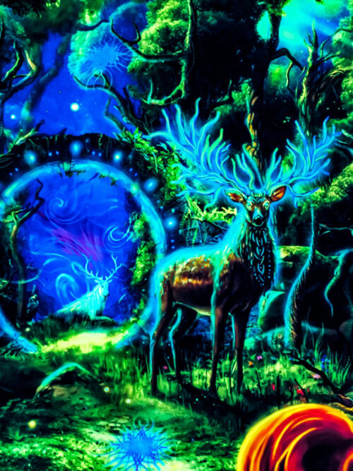 Forest Portal - Image 3