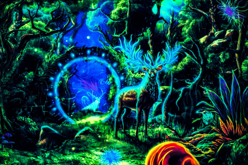 Forest Portal - Image 3