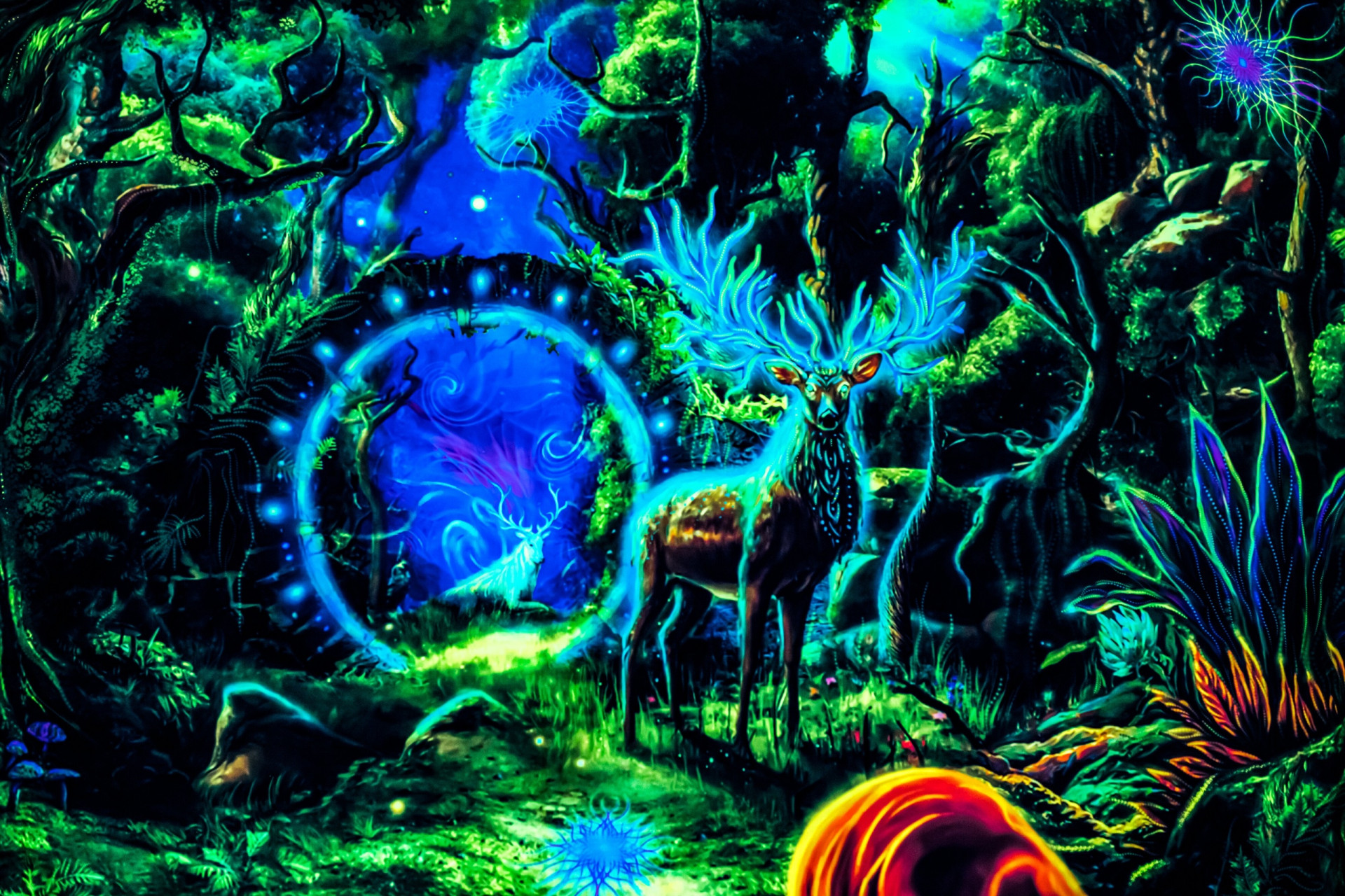 Forest Portal - Image 3