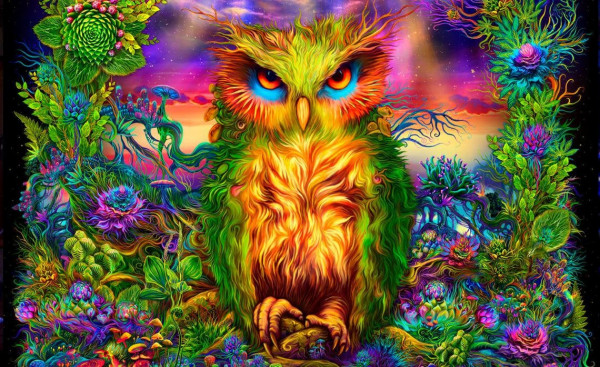 Mystic Owl