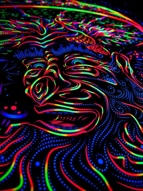 Wise Mushroom backdrop - Image 2