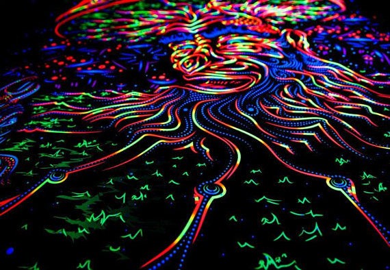 Wise Mushroom backdrop