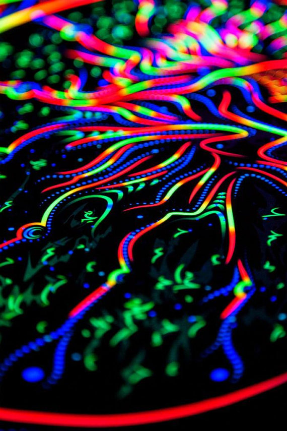 Wise Mushroom backdrop