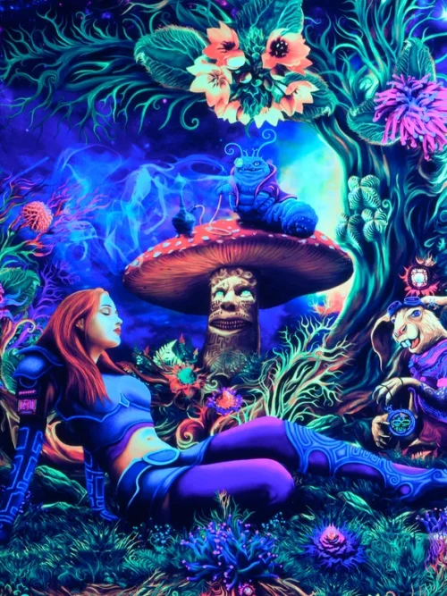 Alice in a psychedelic wonderland - Image 5