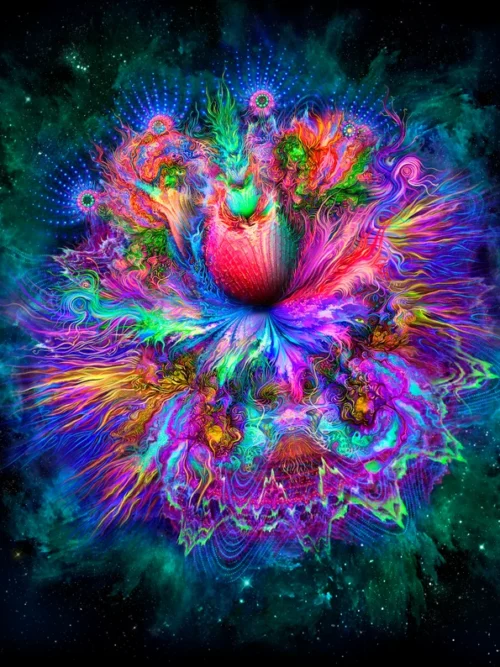 DMT Flower - Image 1