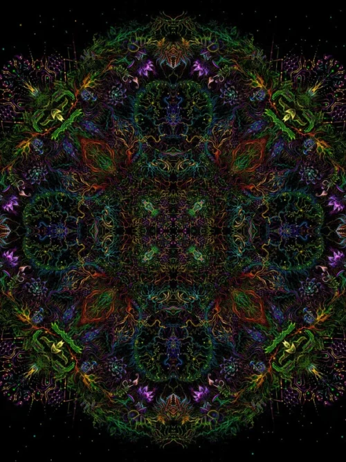 Forest Mandala - Image 1