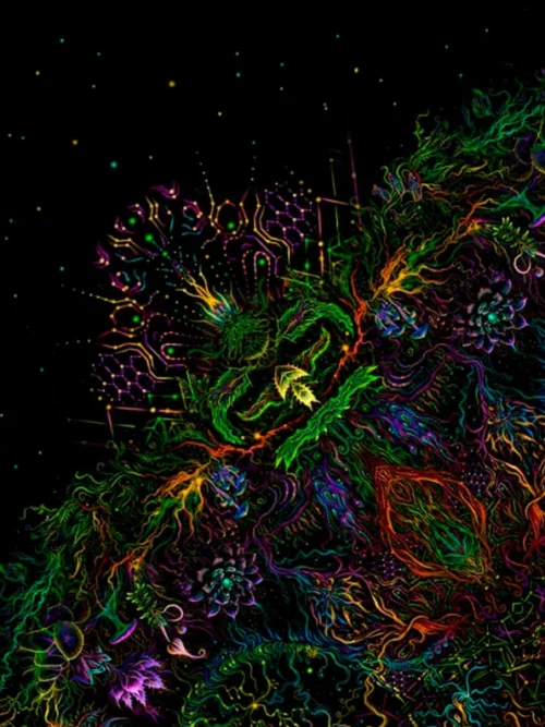 Forest Mandala - Image 3
