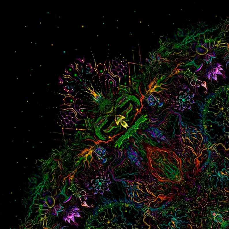 Forest Mandala