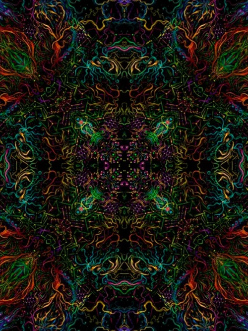 Forest Mandala - Image 4