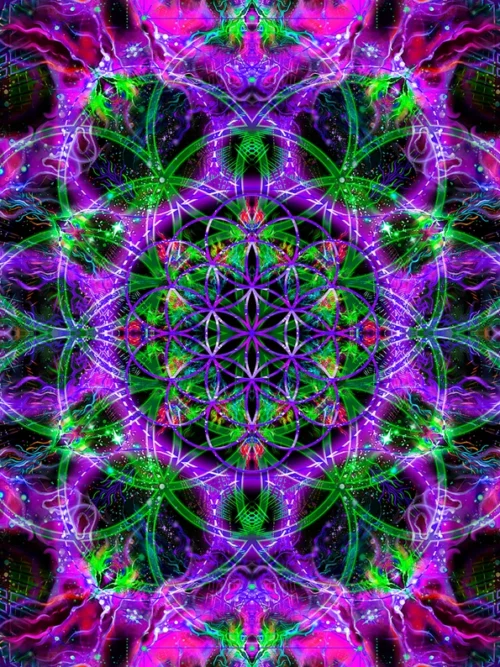 Flower of Life Purple - Image 2