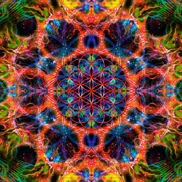 Flower of Life Orange