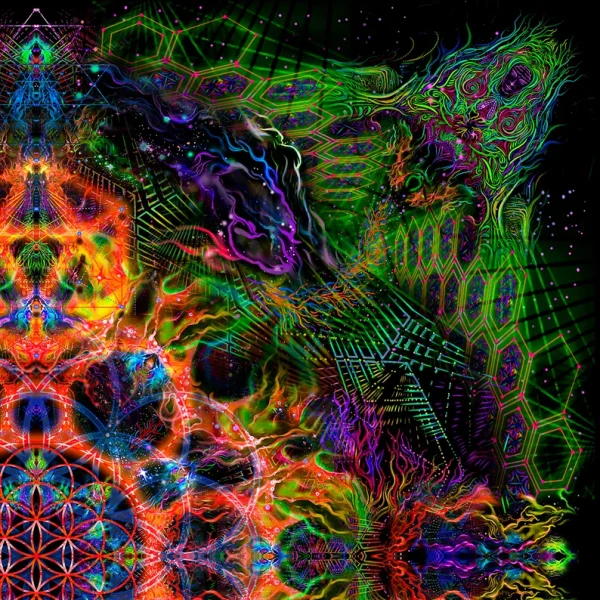 Flower of Life Orange