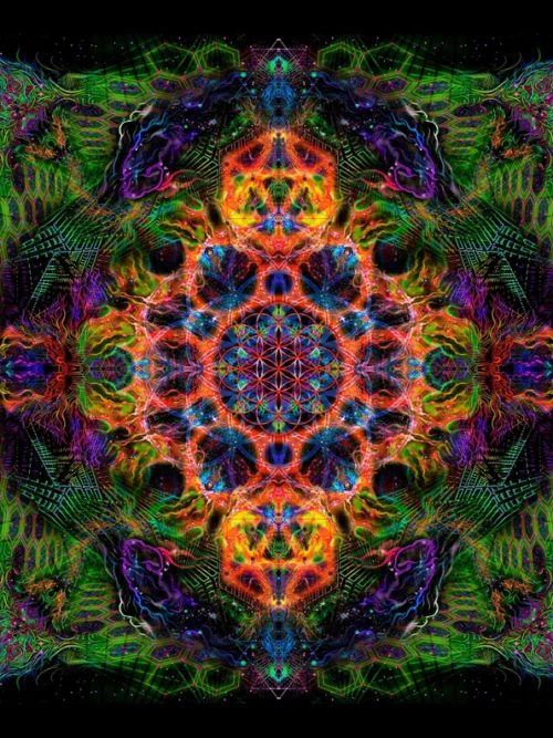 Flower of Life Orange - Image 1