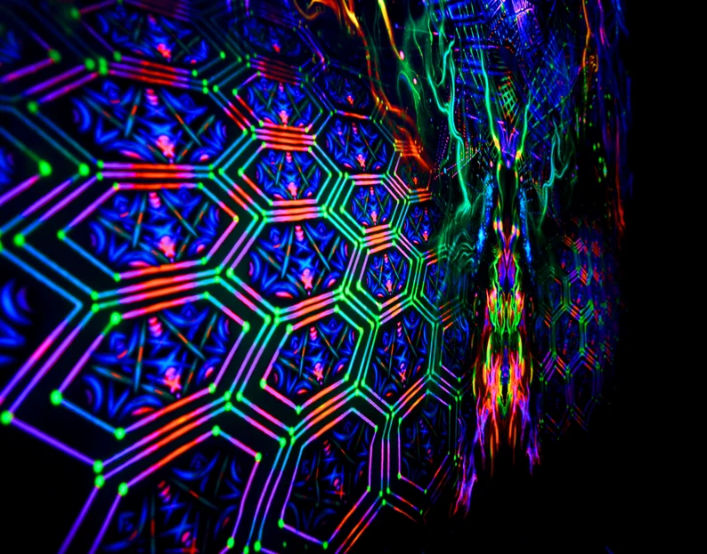 Geometry of the Sun