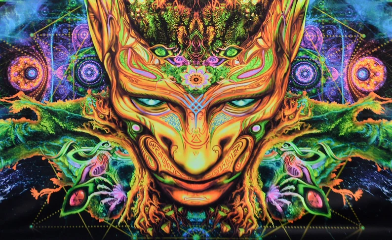 Insight