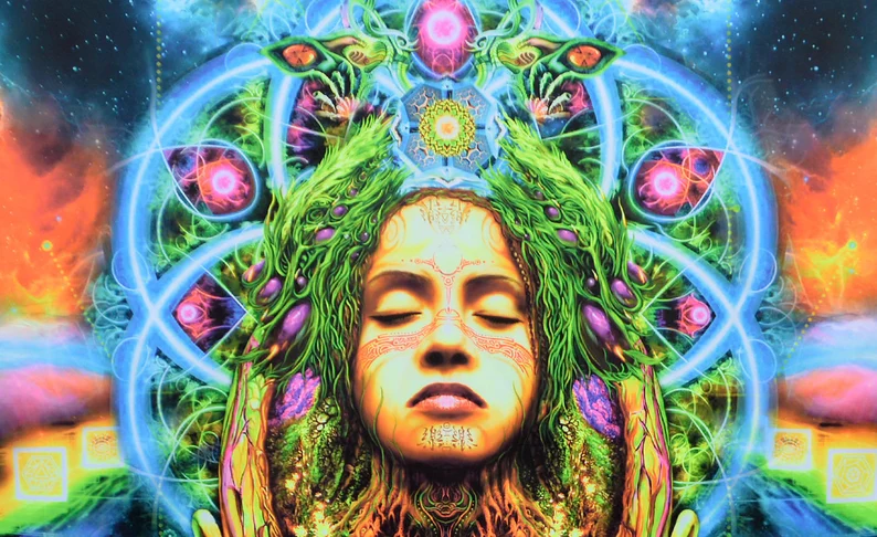 Insight