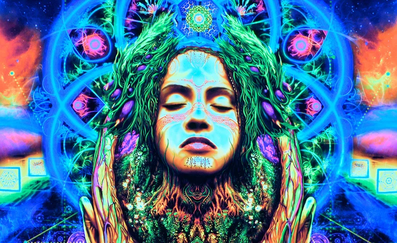 Insight