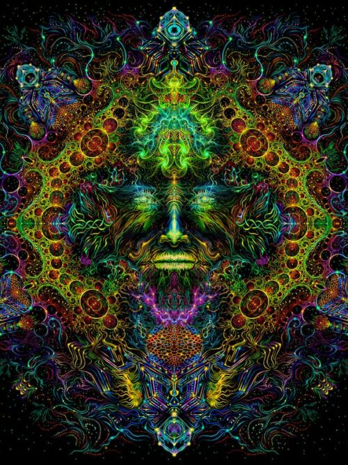 Consciousness of the Universe - Image 1