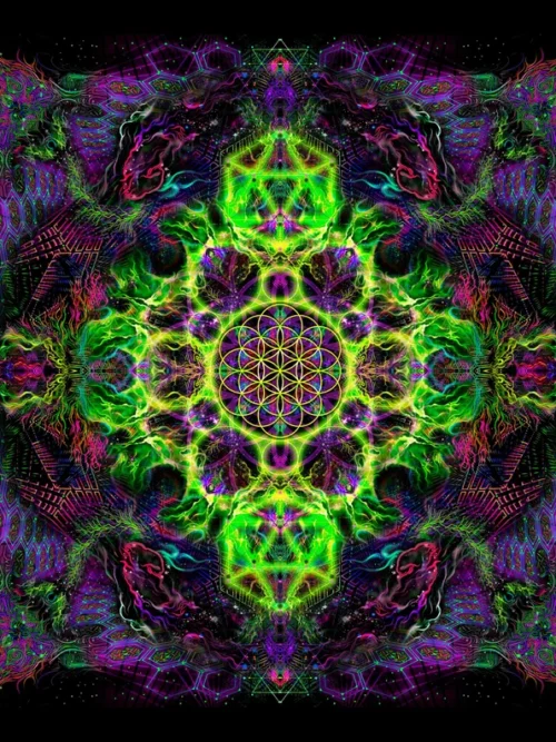 Flower of Life Lime - Image 1