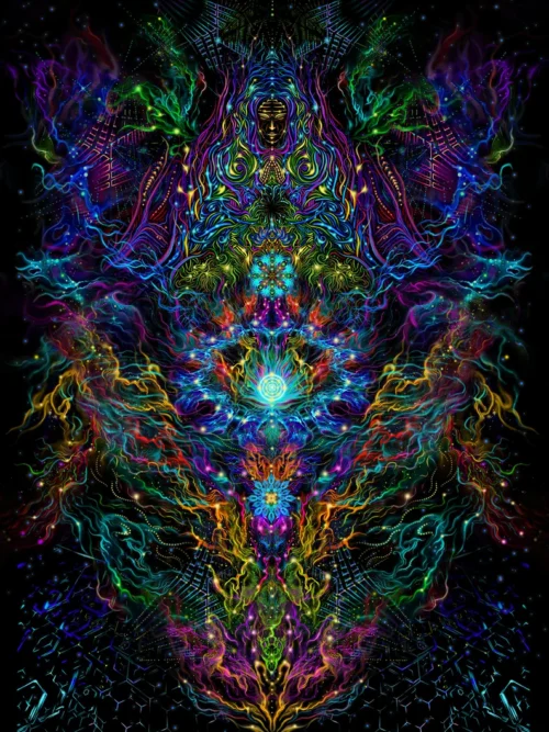Lotus - Image 2