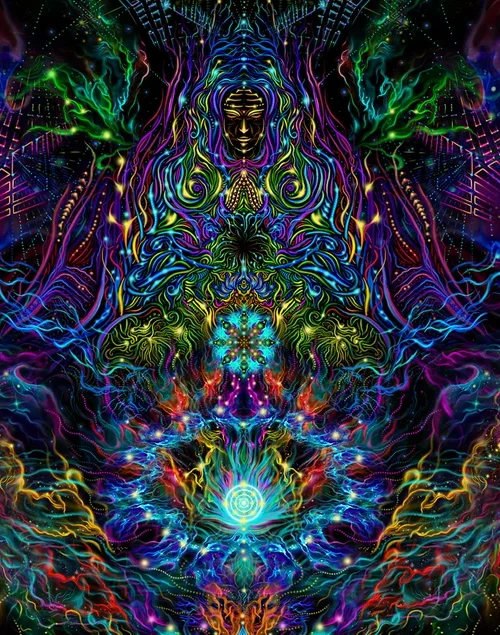 Lotus - Image 5