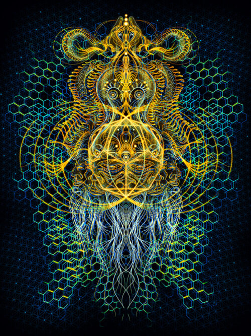 Brahma - Image 1