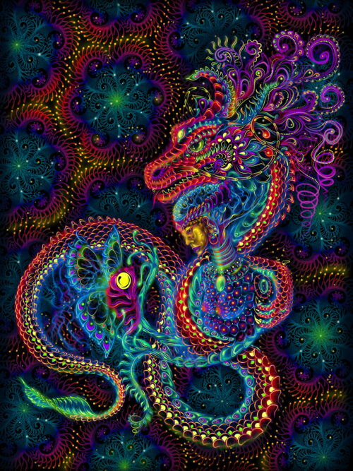 Dragonita de Nature - Image 1