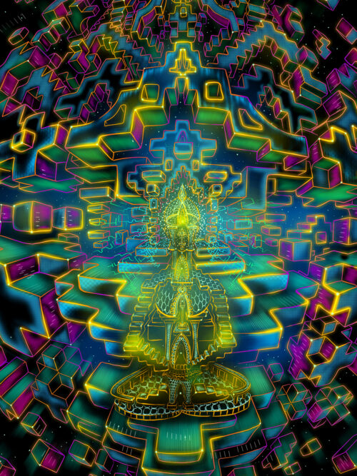 Omni Vision - Image 2