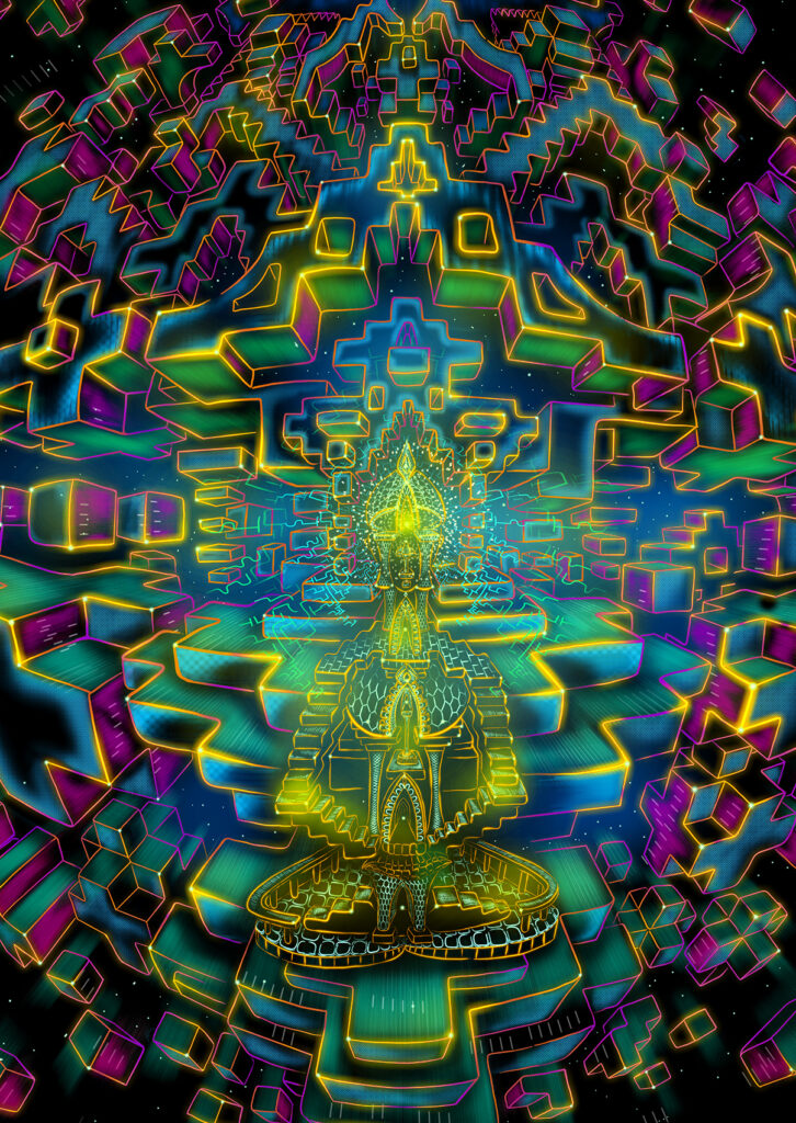 Omni Vision