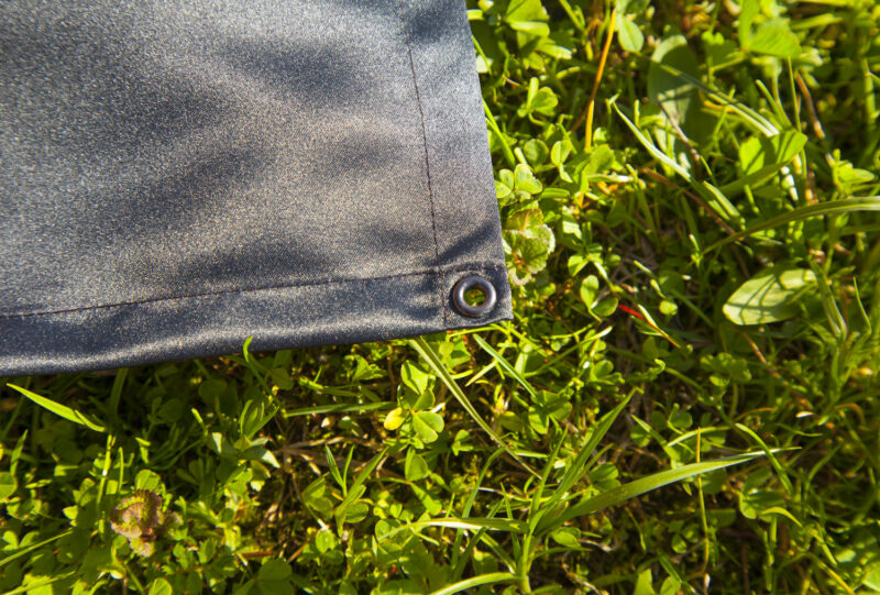 Summer - Image 6
