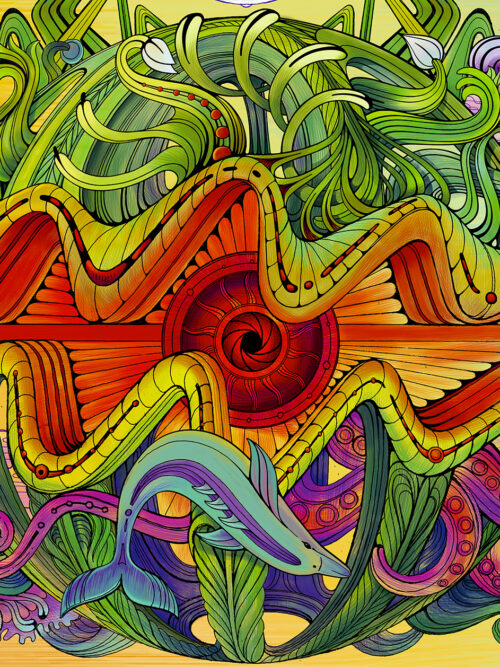 Summer - Image 2